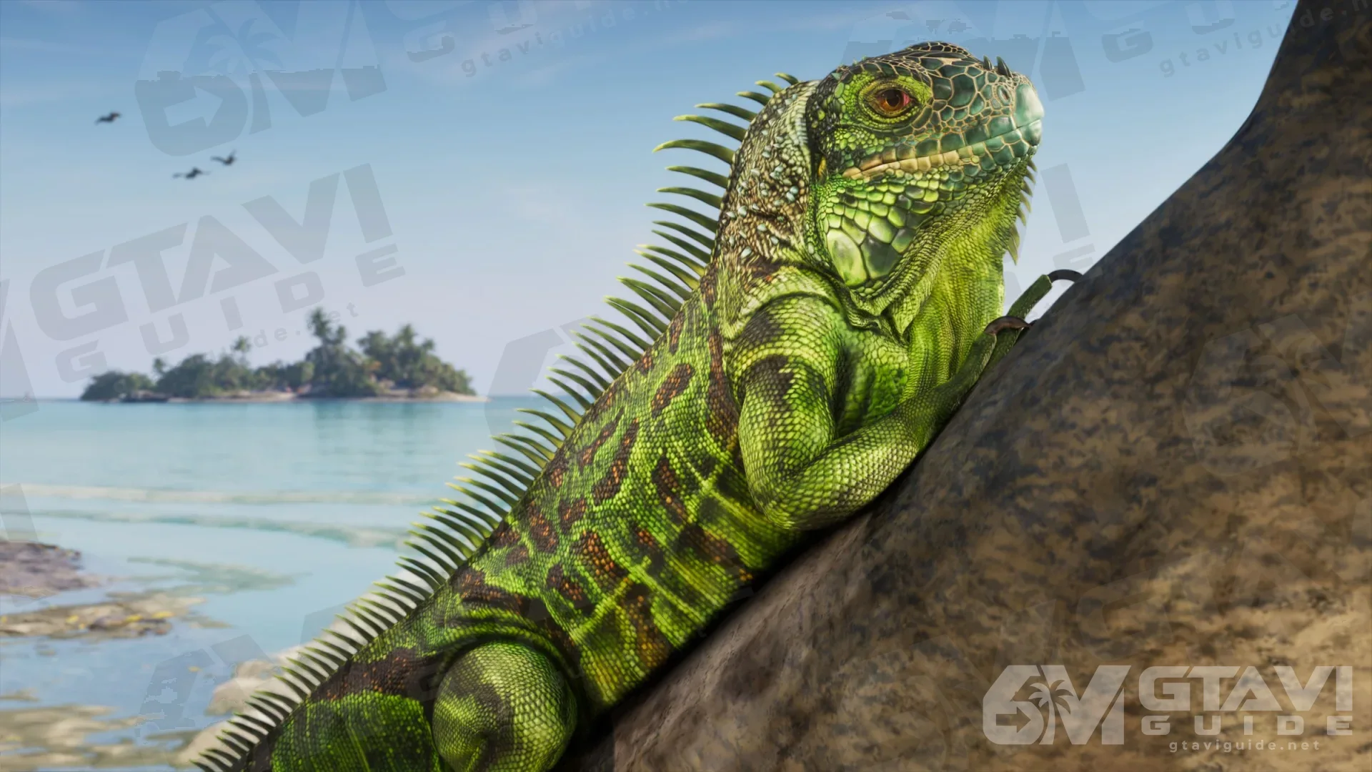 A green iguana on a rock by the sea, a small island in the distance